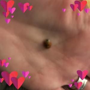 Meet your Posher, Ellenmarie